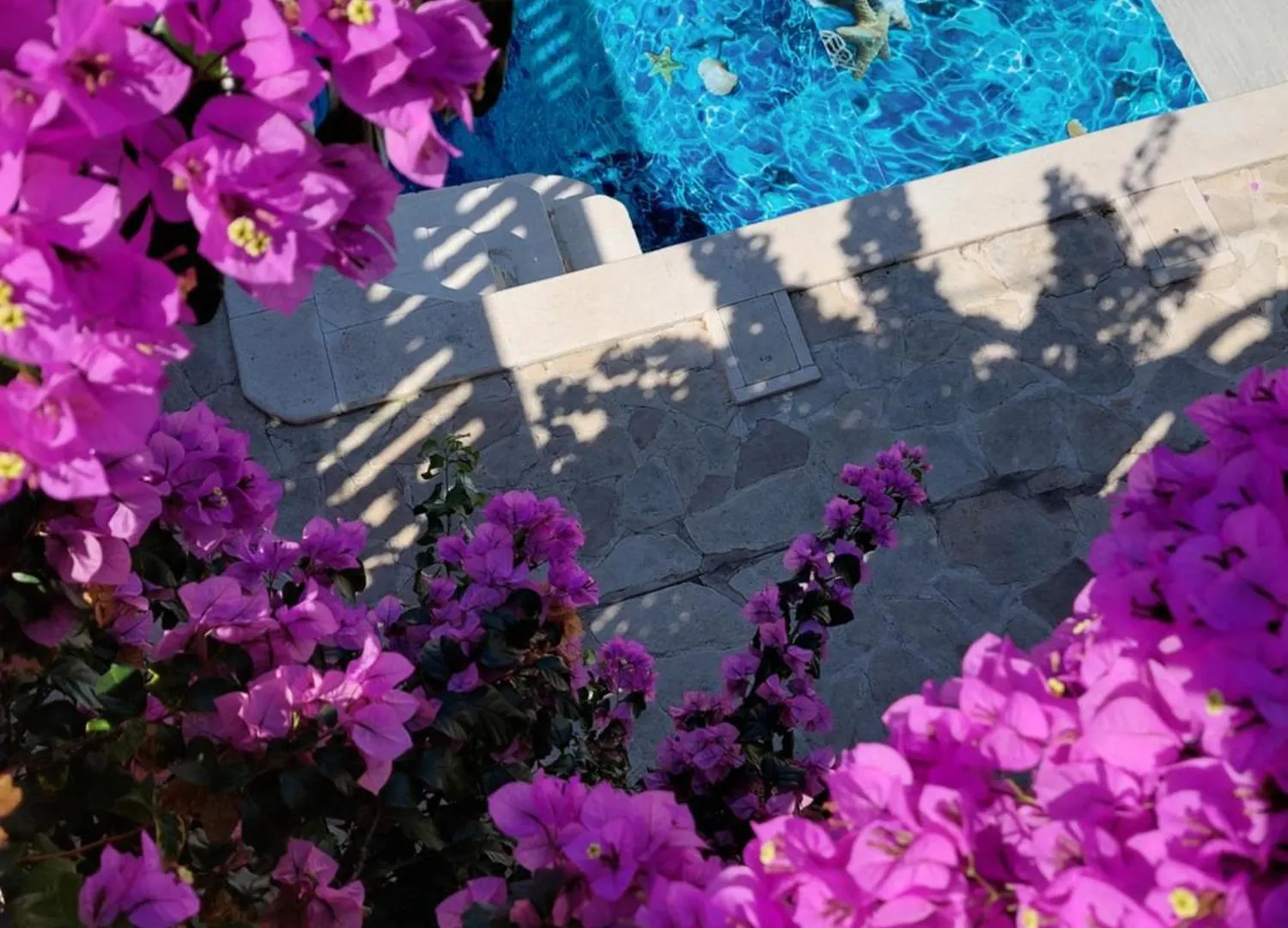 Apartment Studios Villa Romantica Zadar